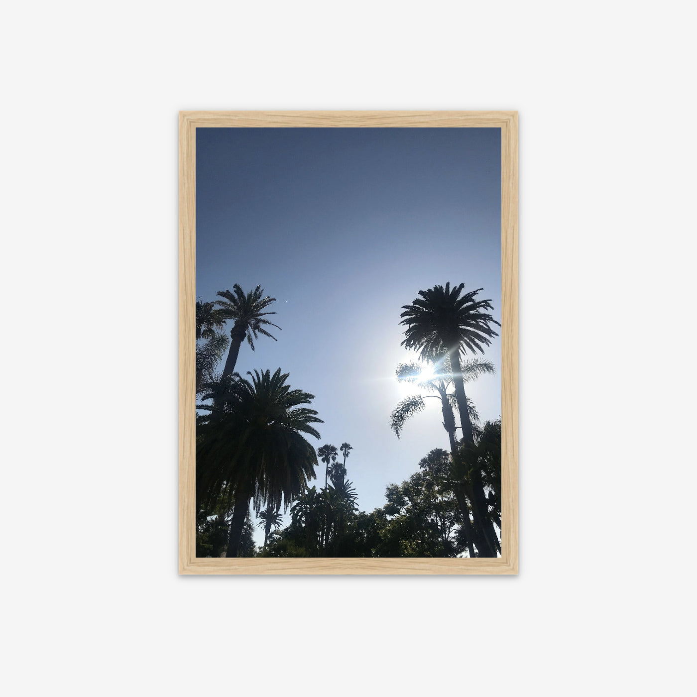 Limited Edition Framed Photo Print - Palm Protectors, Santa Monica