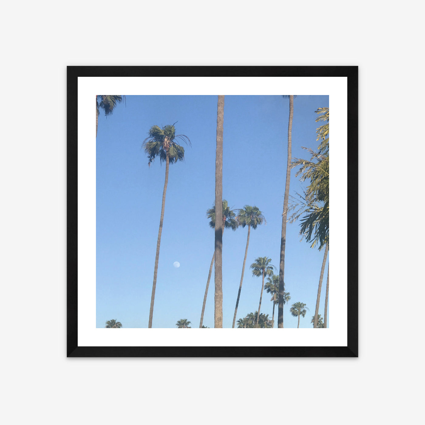 Limited Edition Photo Print - Daylight Moon on 18th Street, Santa Monica