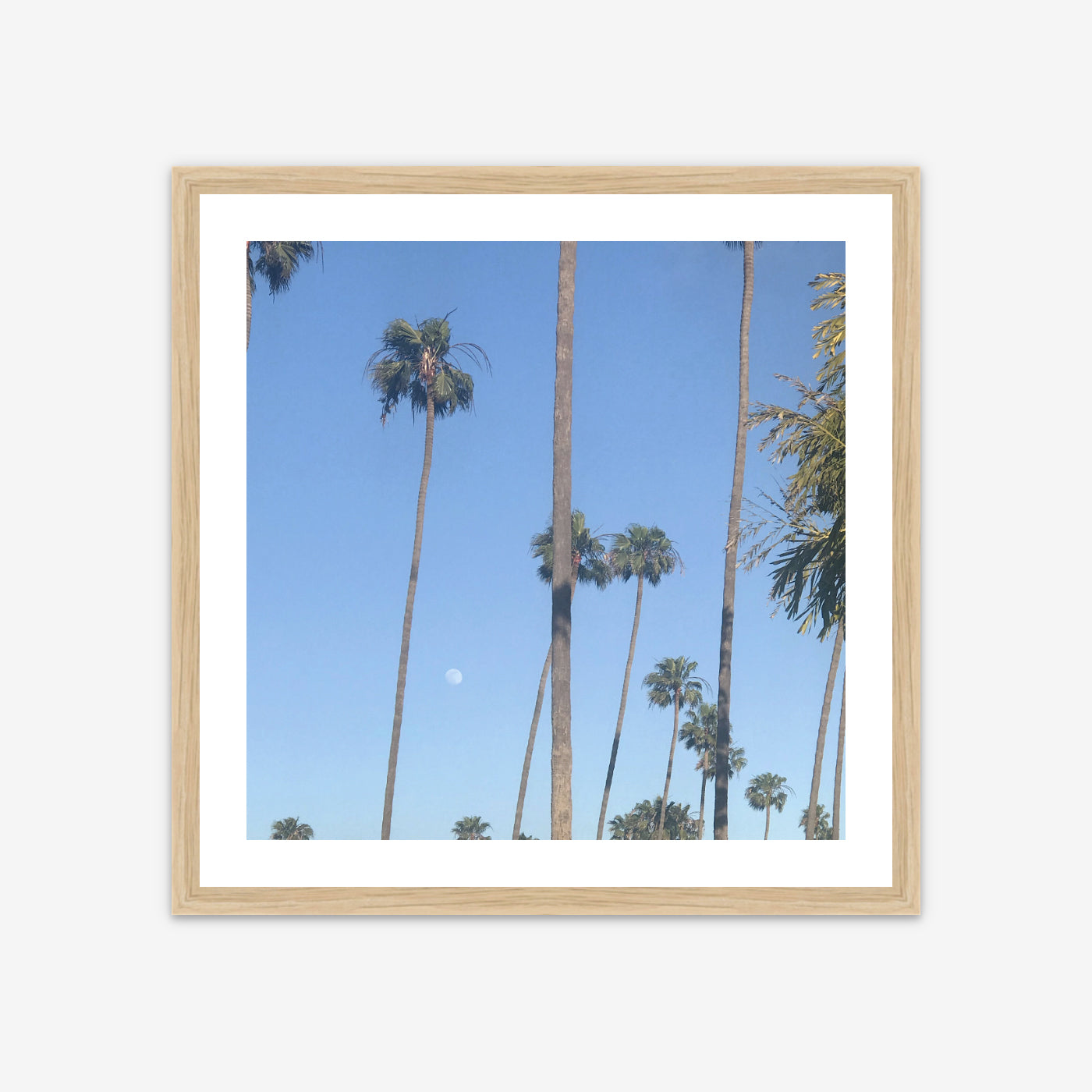 Limited Edition Photo Print - Daylight Moon on 18th Street, Santa Monica