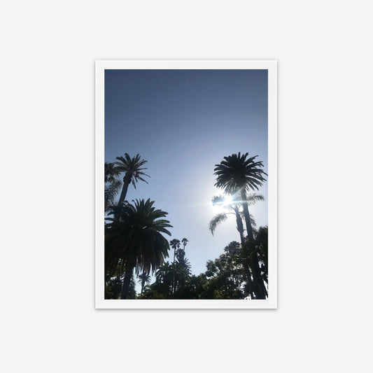 Limited Edition Framed Photo Print - Palm Protectors, Santa Monica