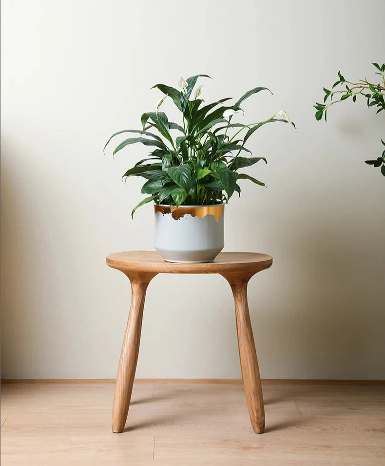 Classic Wooden Stool